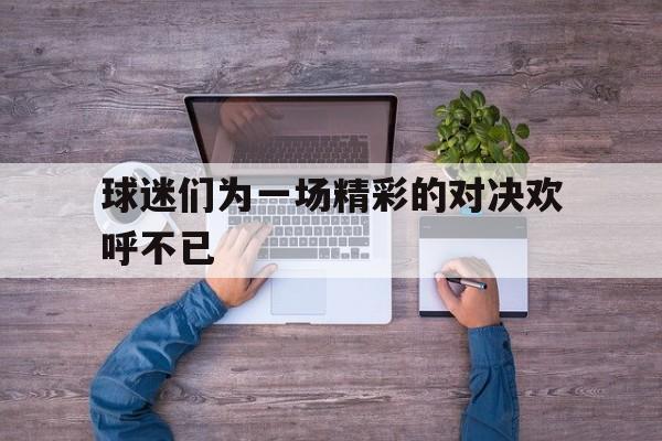 球迷们为一场精彩的对决欢呼不已