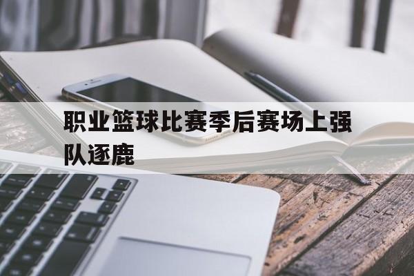 职业篮球比赛季后赛场上强队逐鹿